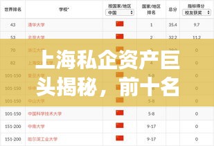 上海私企资产巨头揭秘，前十名榜单震撼出炉！
