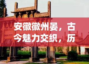 贵出贱收 第2页
