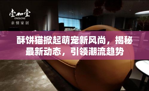 改弦易张 第2页