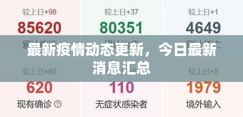 最新疫情动态更新，今日最新消息汇总