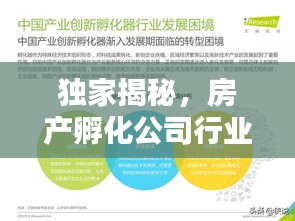 独家揭秘，房产孵化公司行业排名及领先策略，掌握行业领军者的秘密武器！