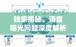 独家揭秘，语音曝光问题深度解析与解决策略