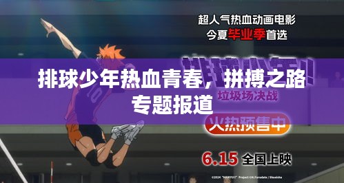 排球少年热血青春，拼搏之路专题报道