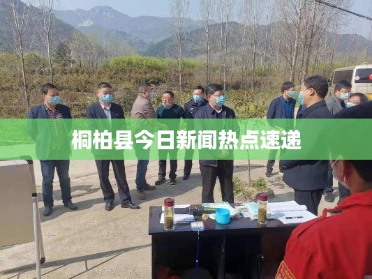 桐柏县今日新闻热点速递