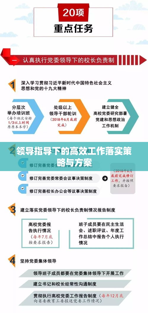 领导指导下的高效工作落实策略与方案