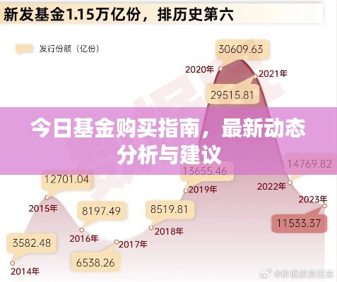 今日基金购买指南，最新动态分析与建议