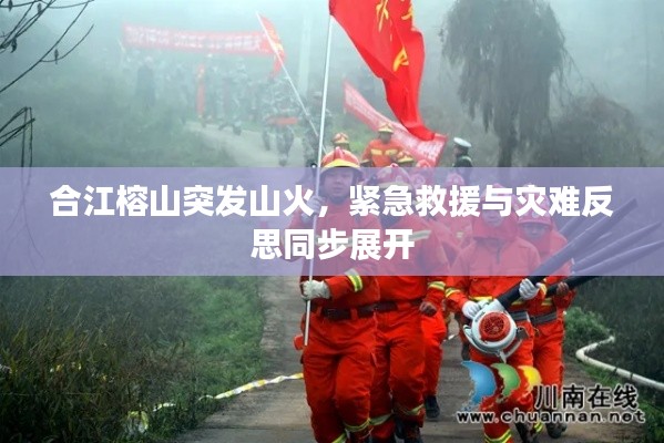 合江榕山突发山火，紧急救援与灾难反思同步展开