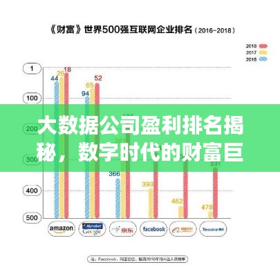 大数据公司盈利排名揭秘，数字时代的财富巨头榜单重磅出炉！