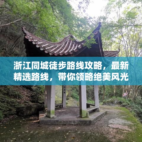 比翼鸟 第2页