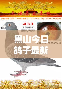 六鹢退飞