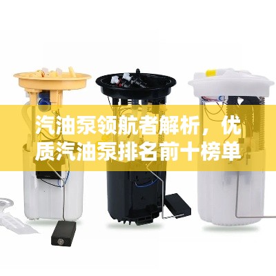 汽油泵领航者解析，优质汽油泵排名前十榜单揭晓！