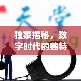 独家揭秘，数字时代的独特印记，探寻BT天堂的记忆之旅