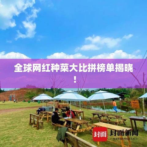 全球网红种菜大比拼榜单揭晓！