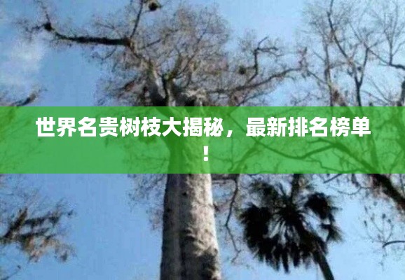 世界名贵树枝大揭秘，最新排名榜单！