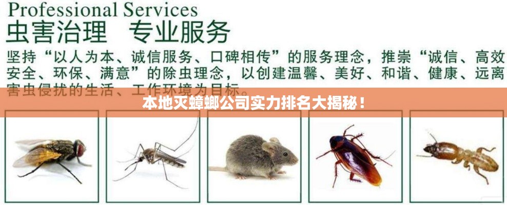 本地灭蟑螂公司实力排名大揭秘！