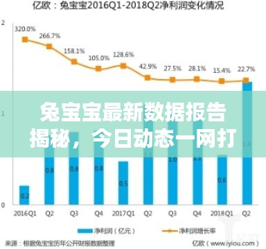 兔宝宝最新数据报告揭秘，今日动态一网打尽