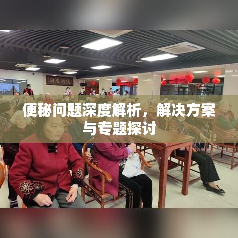 便秘问题深度解析，解决方案与专题探讨