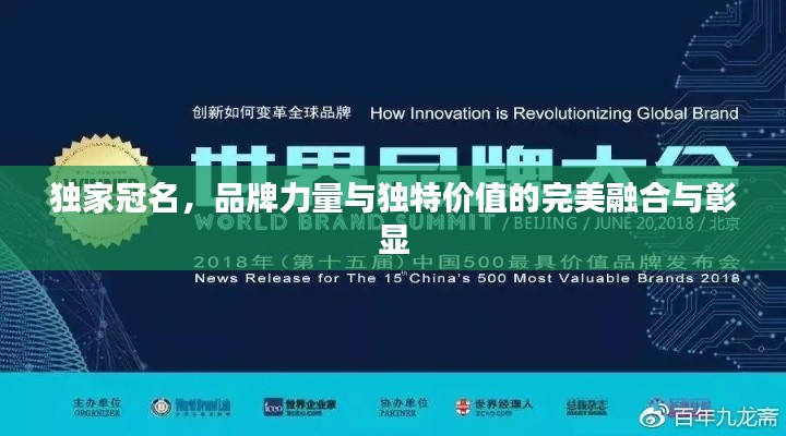 独家冠名，品牌力量与独特价值的完美融合与彰显