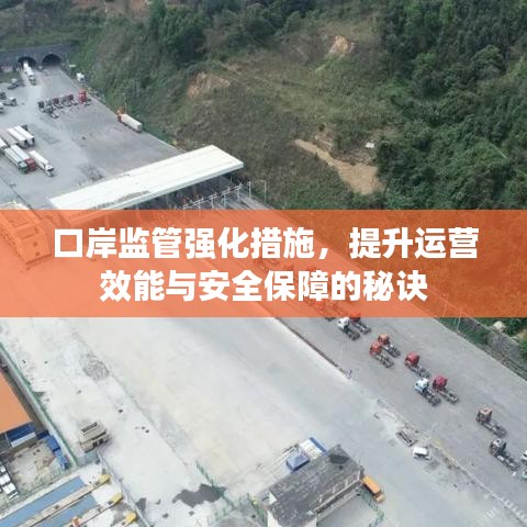 口岸监管强化措施，提升运营效能与安全保障的秘诀
