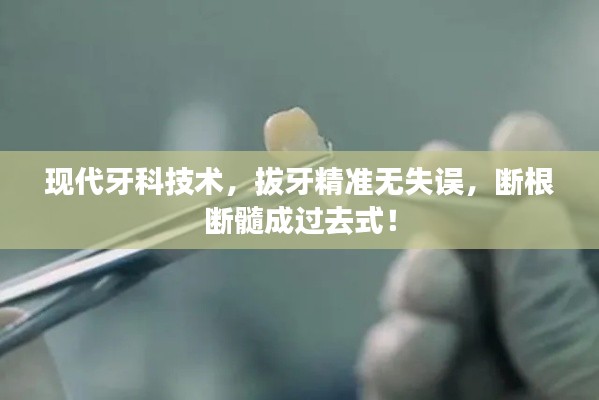 现代牙科技术，拔牙精准无失误，断根断髓成过去式！