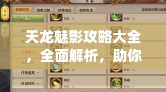 天龙魅影攻略大全，全面解析，助你轻松掌握游戏秘籍！（最新）