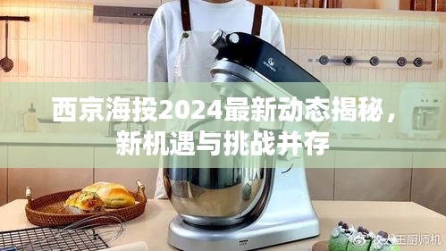 西京海投2024最新动态揭秘，新机遇与挑战并存