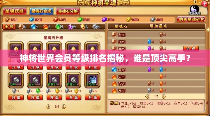 神将世界会员等级排名揭秘，谁是顶尖高手？