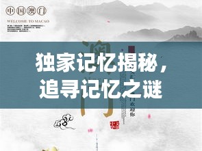 独家记忆揭秘，追寻记忆之谜的无穷之旅