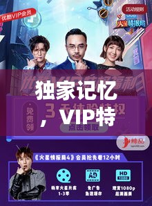 独家记忆，VIP特权下的非凡体验