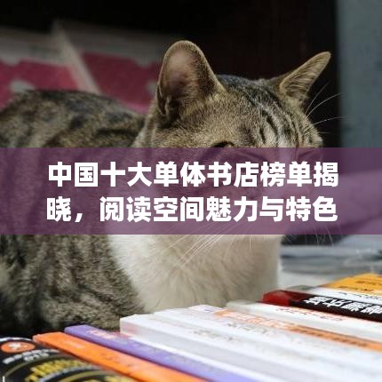 中国十大单体书店榜单揭晓，阅读空间魅力与特色深度解读