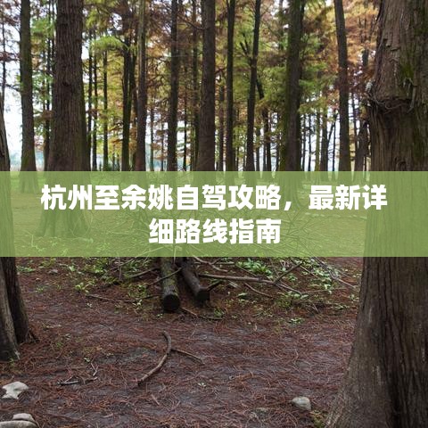 杭州至余姚自驾攻略，最新详细路线指南