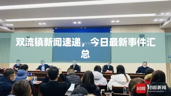 双流镇新闻速递，今日最新事件汇总