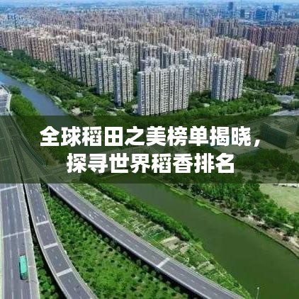 全球稻田之美榜单揭晓，探寻世界稻香排名