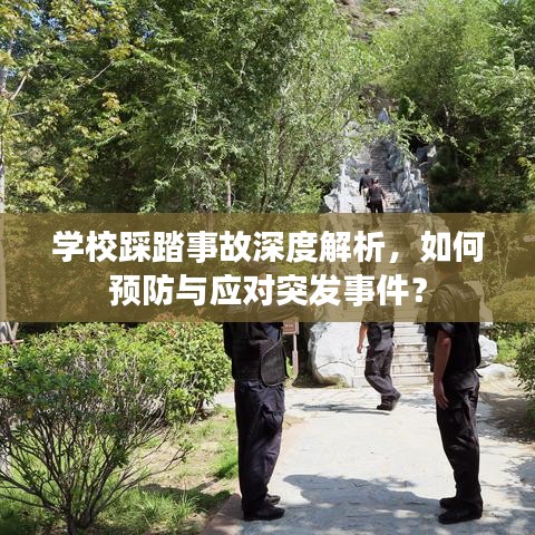 学校踩踏事故深度解析，如何预防与应对突发事件？