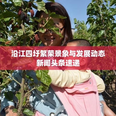 沿江四圩繁荣景象与发展动态新闻头条速递
