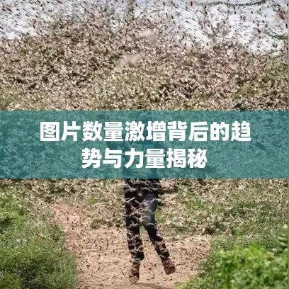 图片数量激增背后的趋势与力量揭秘
