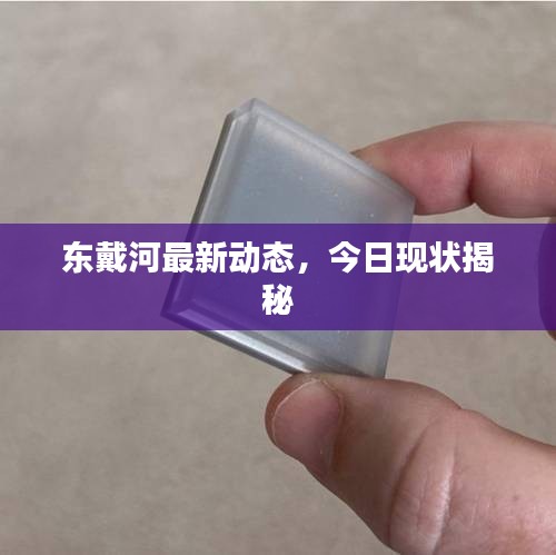 东戴河最新动态，今日现状揭秘