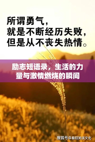 励志短语录，生活的力量与激情燃烧的瞬间
