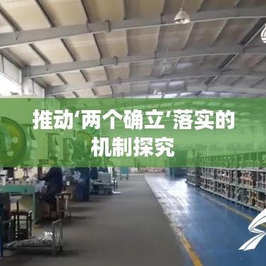 推动‘两个确立’落实的机制探究
