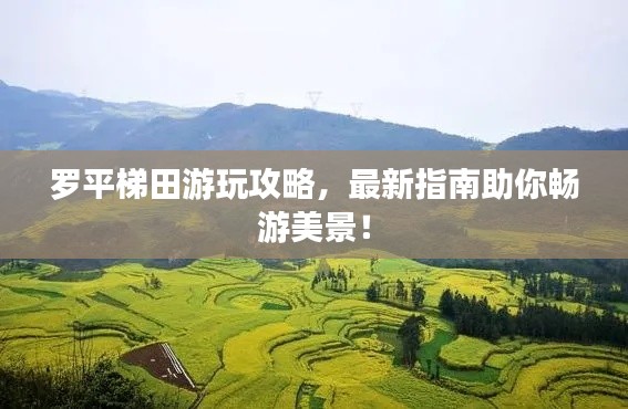 罗平梯田游玩攻略，最新指南助你畅游美景！