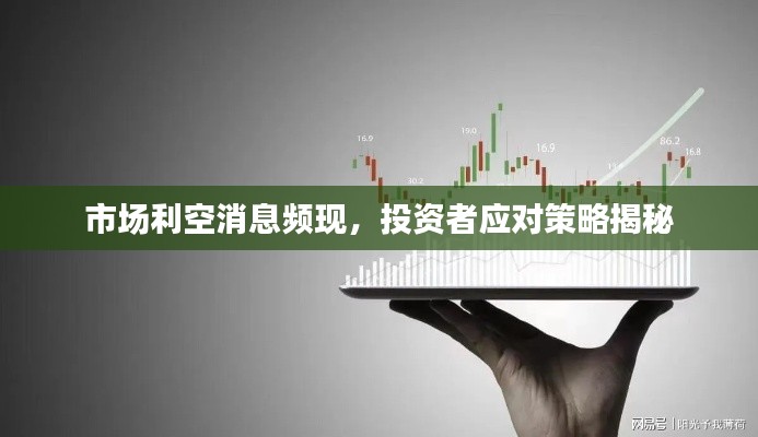 明夷于飞
