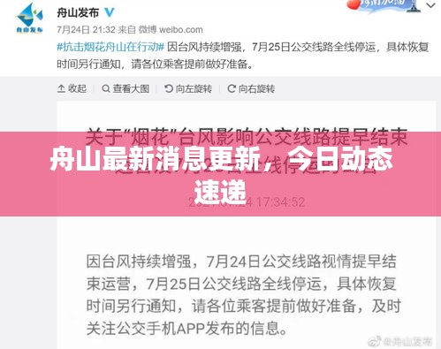 舟山最新消息更新，今日动态速递