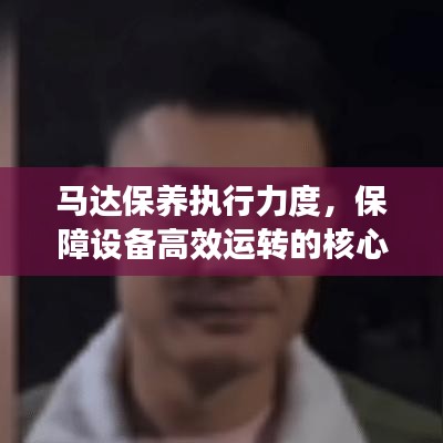 马达保养执行力度，保障设备高效运转的核心要素