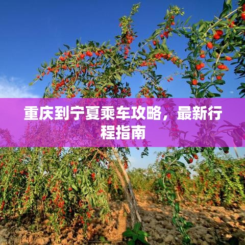 重庆到宁夏乘车攻略，最新行程指南