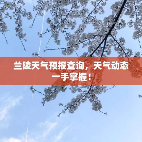 兰陵天气预报查询，天气动态一手掌握！