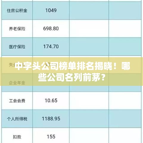 中字头公司榜单排名揭晓！哪些公司名列前茅？