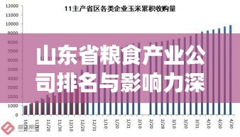 山东省粮食产业公司排名与影响力深度解析