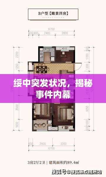 绥中突发状况，揭秘事件内幕
