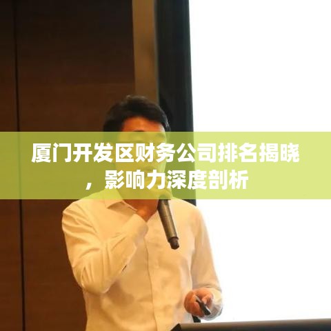 厦门开发区财务公司排名揭晓，影响力深度剖析
