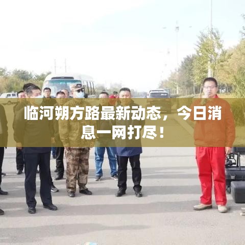 临河朔方路最新动态，今日消息一网打尽！